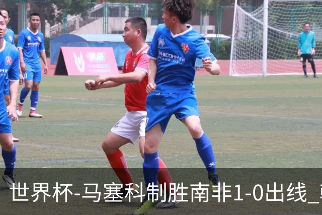世界杯-马塞科制胜南非1-0出线 韩国积3分获小组第三待定